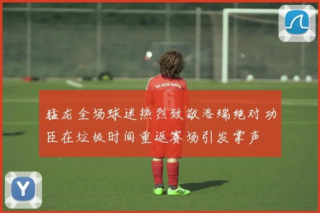 猛龙全场球迷热烈致敬洛瑞绝对功臣在垃圾时间重返赛场引发掌声