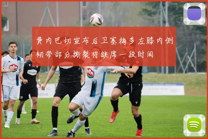 费内巴切宣布后卫塞梅多左膝内侧韧带部分撕裂将缺席一段时间