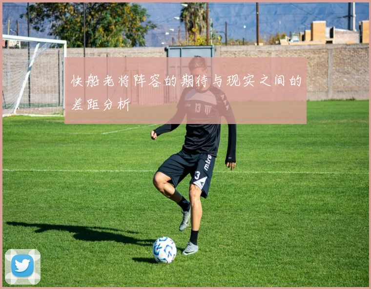 快船老将阵容的期待与现实之间的差距分析